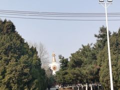 -护国法轮寺