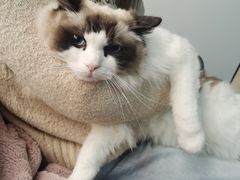 -零纪元VR体验馆·桌游(黄浦店)