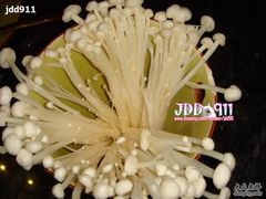 金针菇-王家渡火锅店(棕榈泉店)