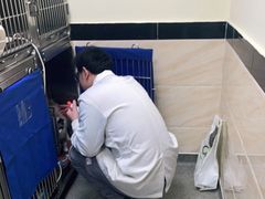 -安安宠医·安宠宠物医院