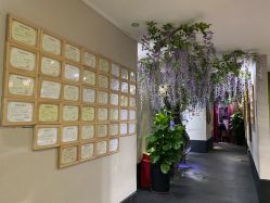 -盘子女人坊生日照·摄影馆(华强店)