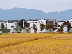 -东梓关景区村庄