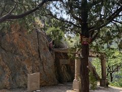 -北京鹫峰国家森林公园