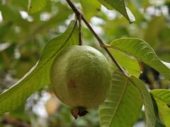 -中国移动南方基地