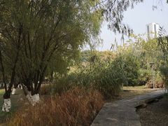 -长广溪湿地公园