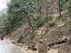 -黔灵山公园