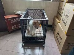 -搬帮帮日式精品打包搬家服务