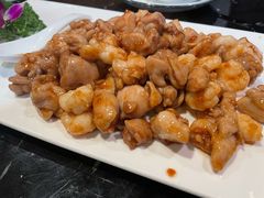 -丁老爷子苏香圆