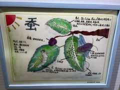 -上海昆虫博物馆