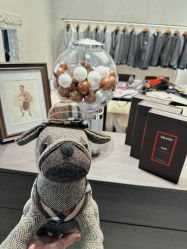 点击看大图 -Brother西服礼服定制·商务·婚礼(佛山南海店)
