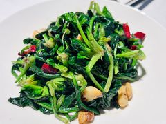 拍蒜菠菜-阿五黄河大鲤鱼(纬三路店)