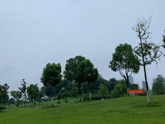 -滨湖塘西河公园