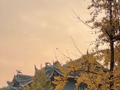 -四川大学(华西校区)