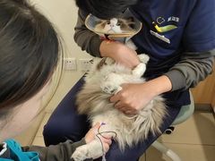 -美迦爱-牙专科·兔科·骨科诊疗中心(北苑店)
