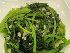 黄帝菜-新和联胜海鲜酒家(万寿路店)
