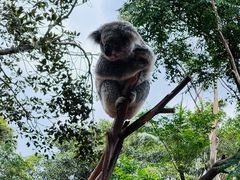 -费瑟代尔野生动物园