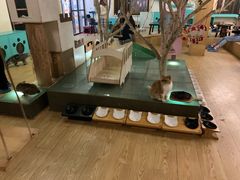 -萌喵咖啡屋(人民东路4号口M16商铺店)