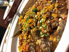 -院里寻菜·精致庭院菜(观沙岭店)