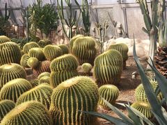 -北京植物园-展览温室