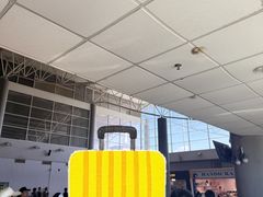 -斗湖机场