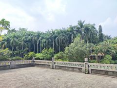 -滴水岩森林公园