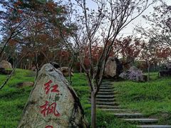 -广州市帽峰山景区