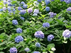 -常州古运河南大街文化旅游区-人民公园