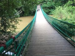 -南宁良凤江国家森林公园