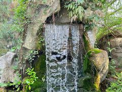 -南山植物园