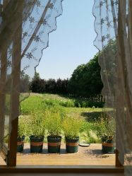 -DORA kids 朵拉儿童摄影花园店