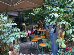 门面-咖法森林·咖啡  酒吧(天河店)