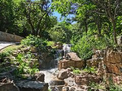 -北京西山国家森林公园