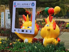 -上海共青森林公园