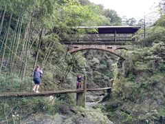 -祁门牯牛降观音堂风景区