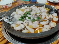 -大鼎石锅鱼(春江里店)