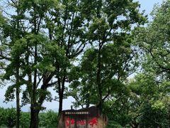 -江心屿景区