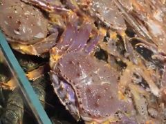 -徐记海鲜(大明宫|北二环店)
