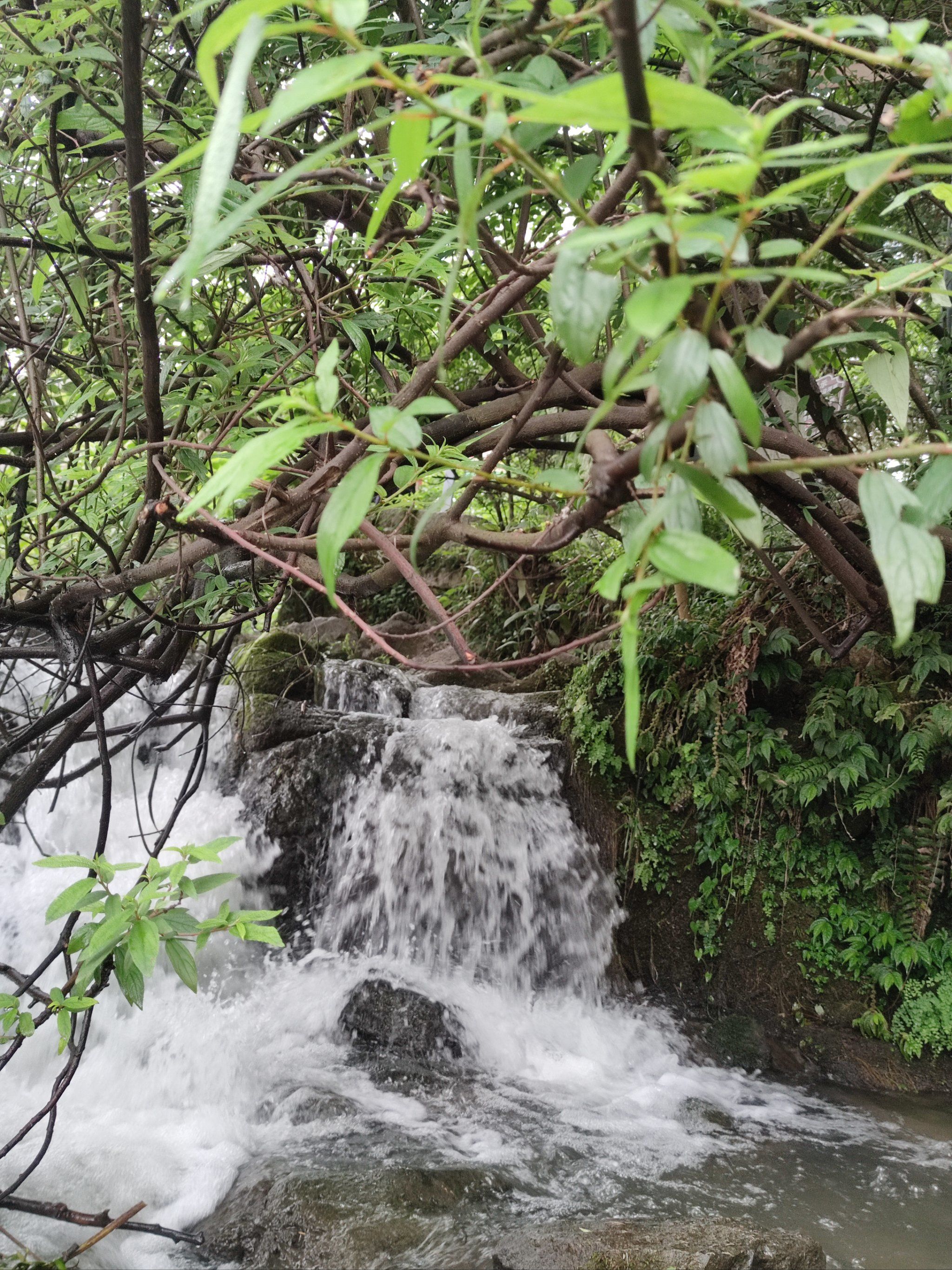 山水如画,思念如风,感受大自然的悠然宁静