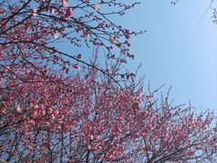 -汉口江滩-五福广场