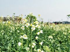 -中国天府农业博览园