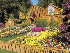 -上海共青森林公园