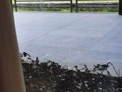 -南宁荔园维景国际酒店·荔园中餐厅