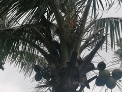 -白沙门生态公园