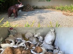 -大象粑粑造纸公园