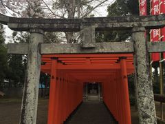 -水前寺成趣园