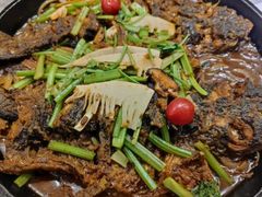 -老板恋上鱼(恒隆广场店)