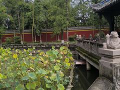 -宝光寺