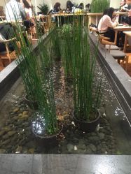 点击看大图 -悦诗风吟innisfree