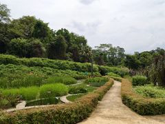 -广西壮族自治区药用植物园