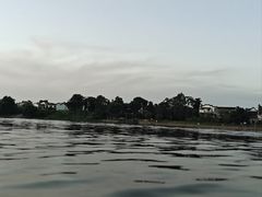 -黄牛肉馆·皖南土菜